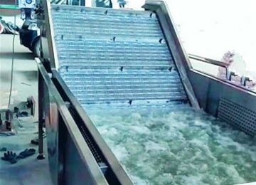 清洗機鏈板提升機